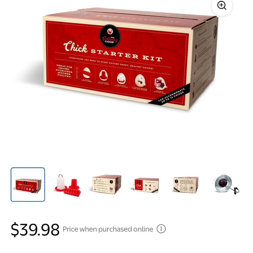The Culinary Coop Chick Starter Kit, Essential Products For Your Pet Chicks